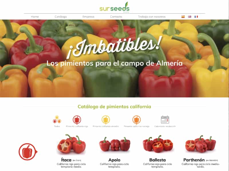 Pimientos california Surseeds